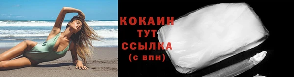 трава Белокуриха
