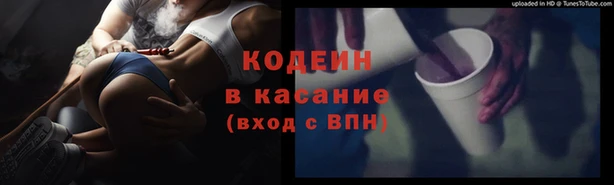 трава Белокуриха