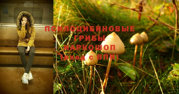 mdma Белоозёрский