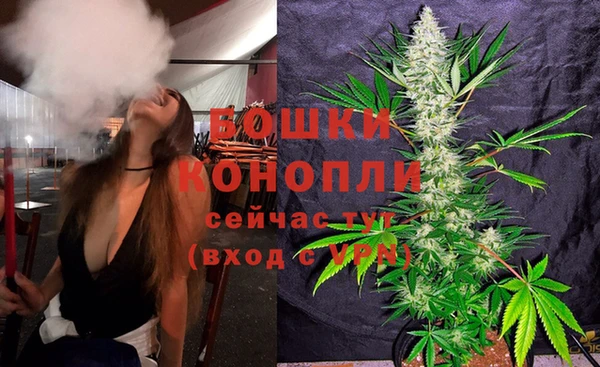 трава Белокуриха