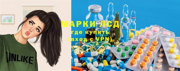 трава Белокуриха