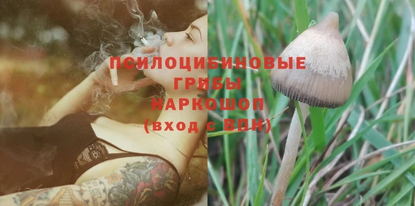 гашик Богородицк