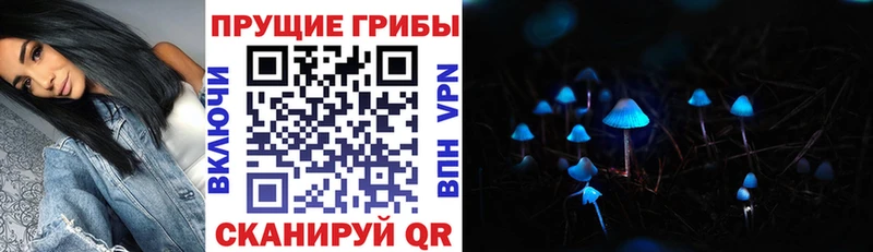 Псилоцибиновые грибы мухоморы  нарко площадка как зайти  Озёрск 